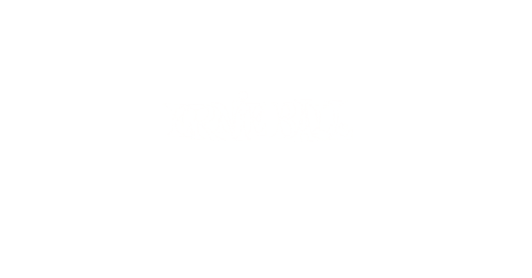 Guitar Rehab - Ernie Ball Logo